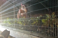 514405800_1047992407419808_4933844566158521380_n